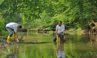Zwei Männer in Gummistiefeln bringen Totholz in einem Altergewässer ein. Das Totholz fungiert als neuer Lebensraum für aquatische Lebewesen.