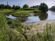 A new tidal creek in Obergeorgswerder. Gras and reeds are growing at the edge of the tidal creek