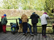 sieben Schülerinnen und Schüler stehen auf einer kleinen Holzbrücke und sind auf der Suche nach kleinen Lebewesen