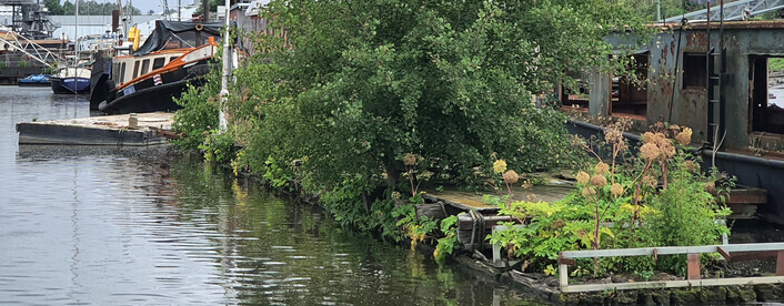 Wasserlandschaft im Holzhafen. Foto SLE