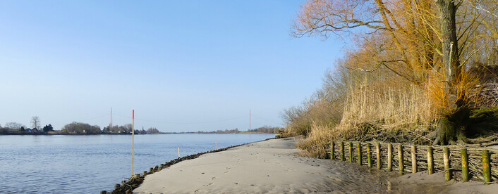 Mit Buschkisten gesichertes Elbufer. Foto SLE