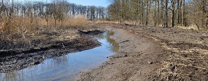 Neu angelegter Priel in Bishorst. Foto Stiftung Lebensraum Elbe