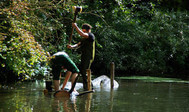 Zwei Männer mit schwerem Werkzeug (großer Gummihammer) befestigen große Totholzstämme im Gewässer.