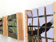 Ein 3D-Puzzle mit verschiedenen Motiven (z.B. Seeadler) als neues Ausstellungselement