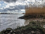 Ergebnis der Deckwerksabsenkung an der Norderelbe: strukturreichere Ufer. Foto SLE