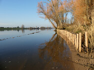 Buschkisten bei Hochwasser. Foto SLE