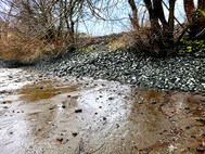 Durch Aufspülung  könnte hier ein flaches Ufer entstehen. Foto SLE