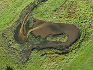Newly created mudflat (photo Michael Maaß)
